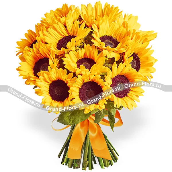Солнечный привет - букет из подсолнухов 